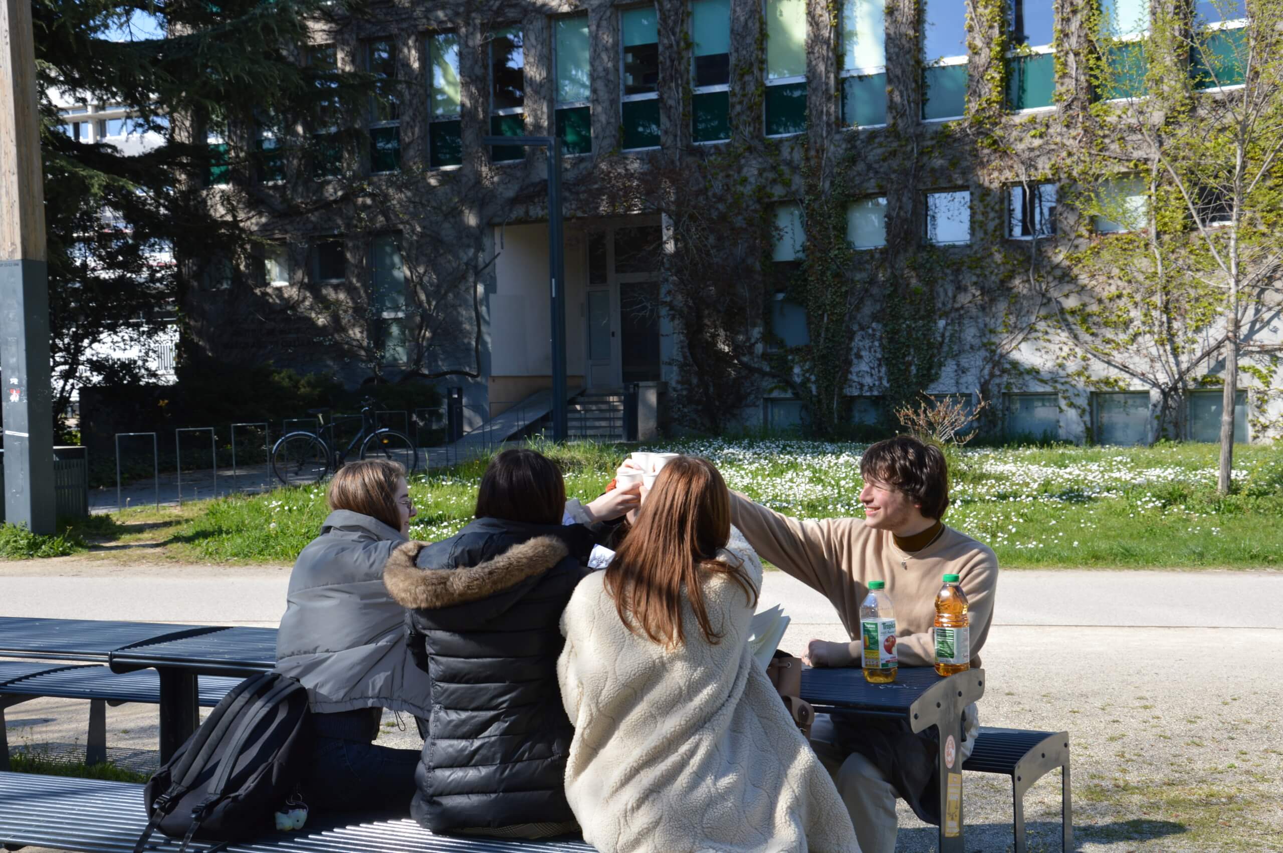 Photo d'étudiants levant leur verres pour trinquer